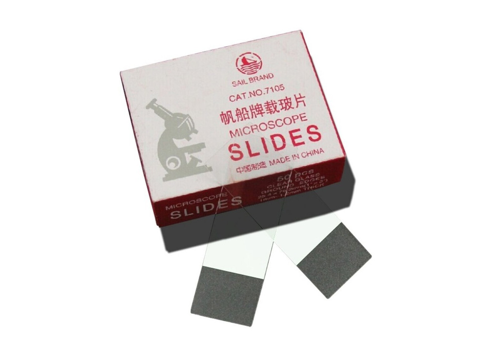 Lâmina fosca para microscopia Microscope slides Espaço Vet